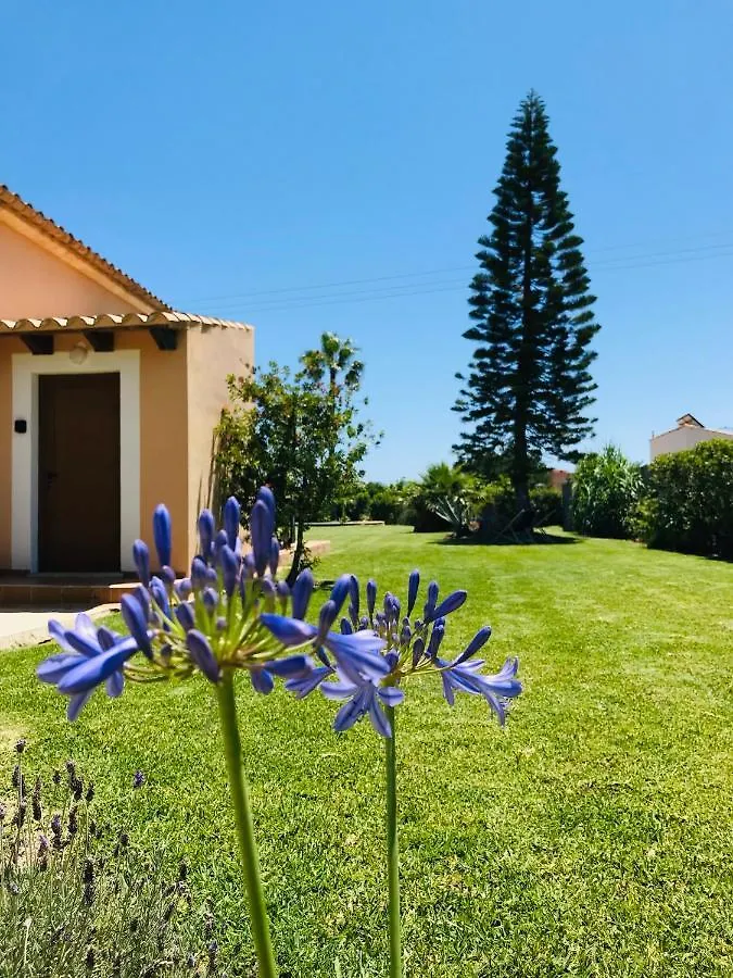 Can Brenno Port de Pollenca Villa